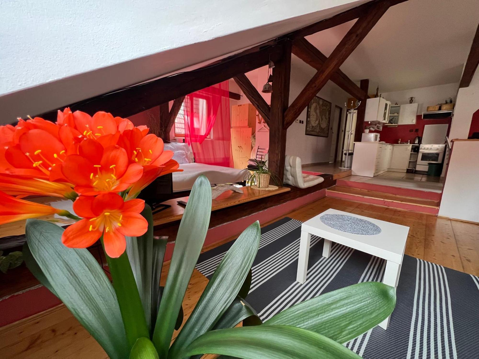 Apartman Galant Apartment Český Krumlov Exterior foto